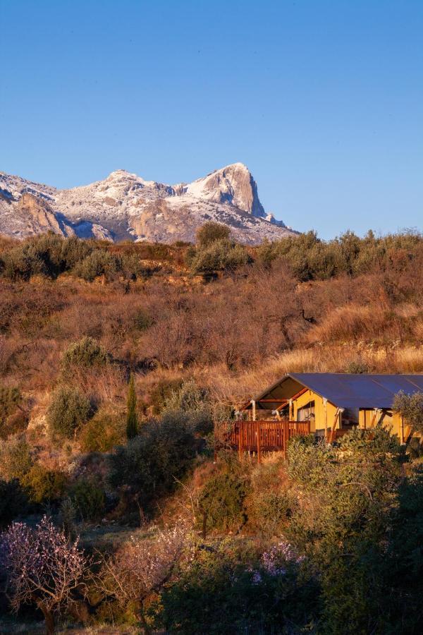 Can Elisa Safari Tent Tarbena Exterior photo