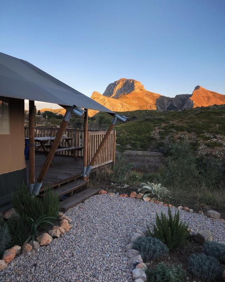 Can Elisa Safari Tent Tarbena Exterior photo